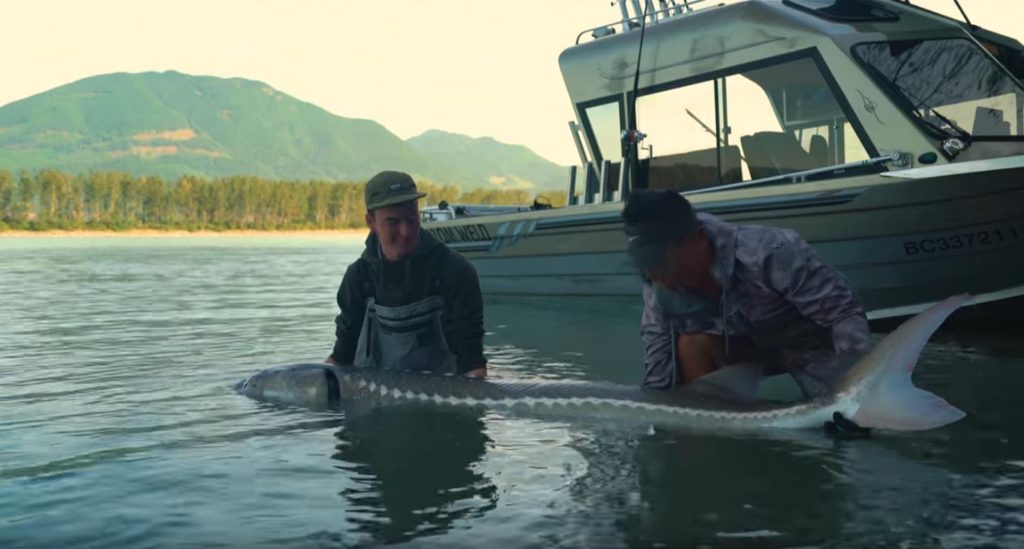 FISHING FOR RIVER MONSTERS - Giant River Sturgeon - Carl and Alex